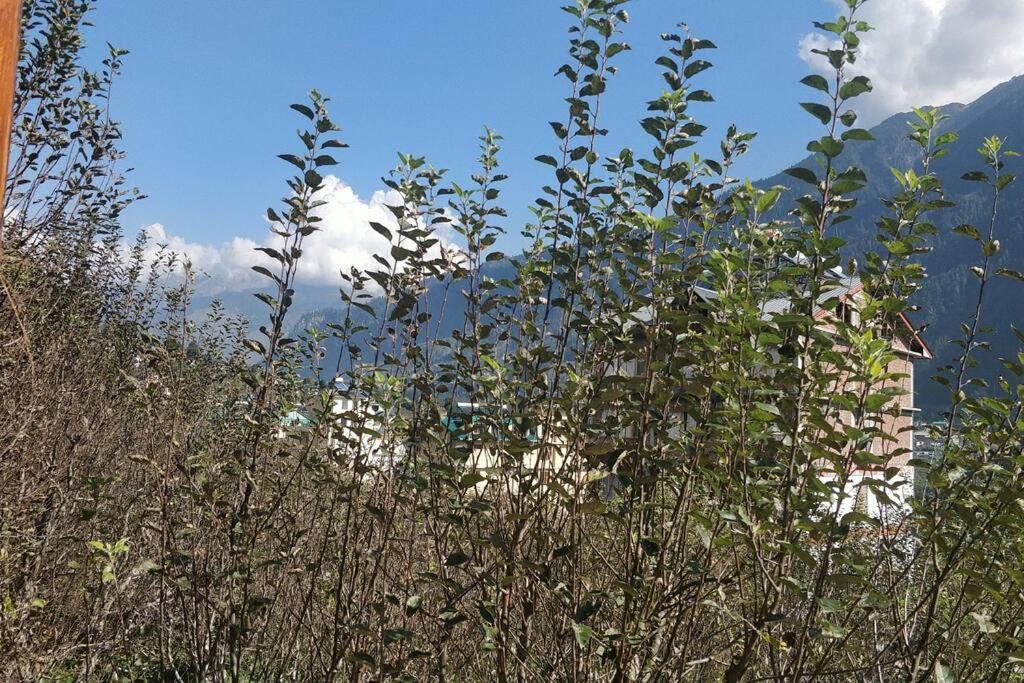 Aroma Taru Villa / Cottage ,Manali Manāli Exterior foto